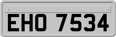 EHO7534