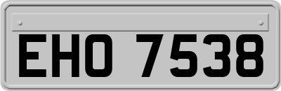 EHO7538