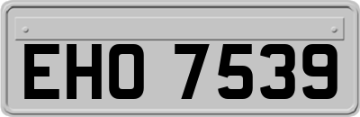 EHO7539