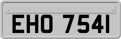 EHO7541