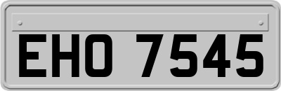 EHO7545