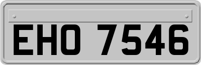 EHO7546
