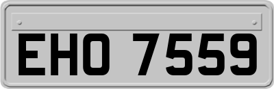 EHO7559