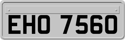EHO7560