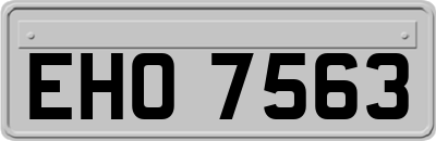 EHO7563