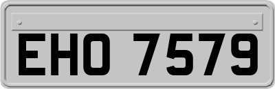 EHO7579