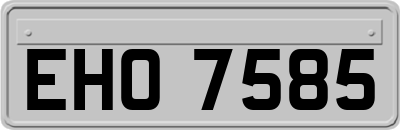 EHO7585