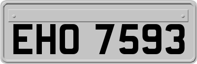EHO7593