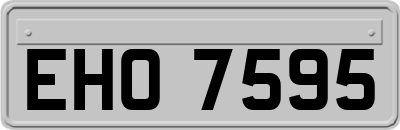 EHO7595