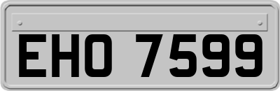 EHO7599