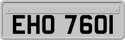 EHO7601