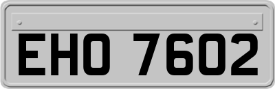 EHO7602