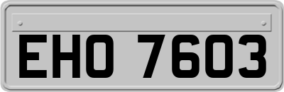 EHO7603