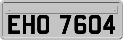 EHO7604