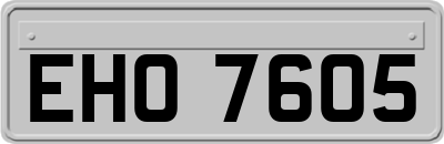 EHO7605