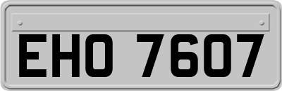 EHO7607