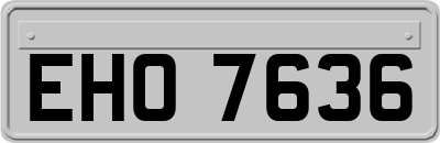 EHO7636