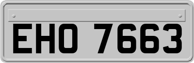 EHO7663