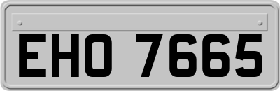 EHO7665