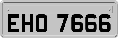 EHO7666
