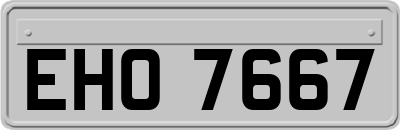 EHO7667