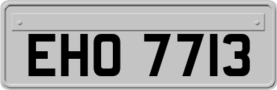 EHO7713