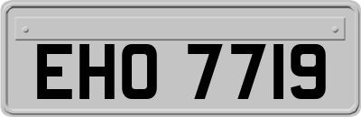 EHO7719