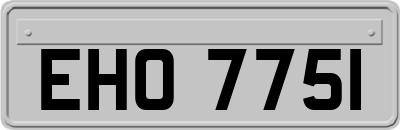 EHO7751