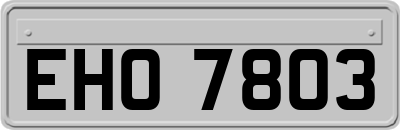 EHO7803