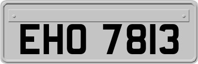 EHO7813