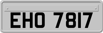 EHO7817