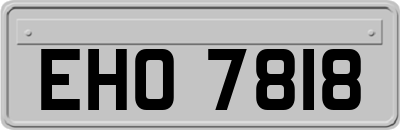 EHO7818