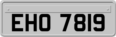 EHO7819