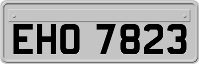 EHO7823
