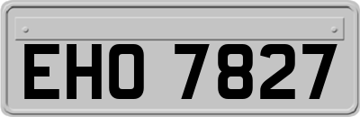 EHO7827
