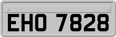 EHO7828