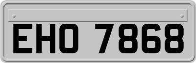EHO7868