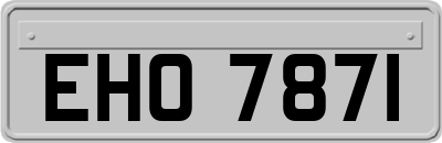 EHO7871
