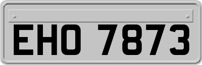 EHO7873