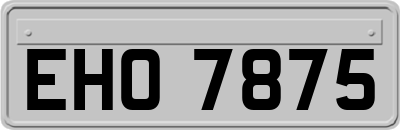 EHO7875
