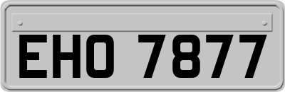 EHO7877