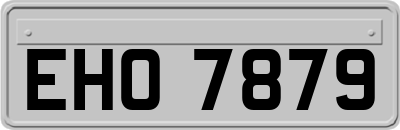 EHO7879