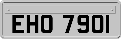 EHO7901