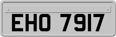 EHO7917