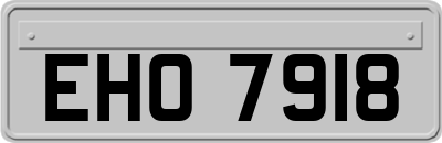 EHO7918