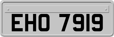 EHO7919