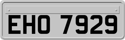 EHO7929