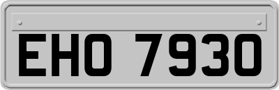 EHO7930