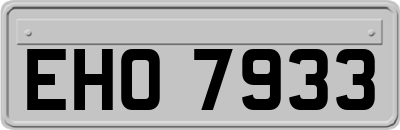 EHO7933