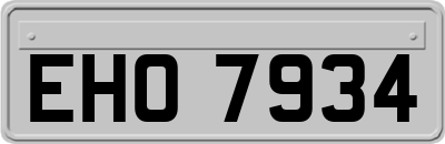 EHO7934